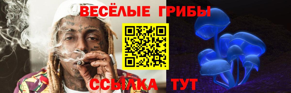 Галлюциногенные грибы Psilocybine cubensis  Вход с VPN  Будённовск  Галлюциногенные грибы Magic Shrooms 