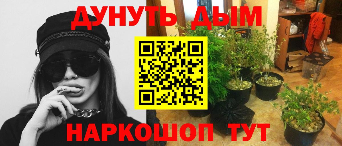 Конопля марихуана  Бошки марихуана AK-47  Вход с VPN  Будённовск 